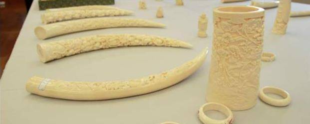 山东农妇一祖传凉席,全球仅3件,10根金条买入,专家花300元买走_象牙