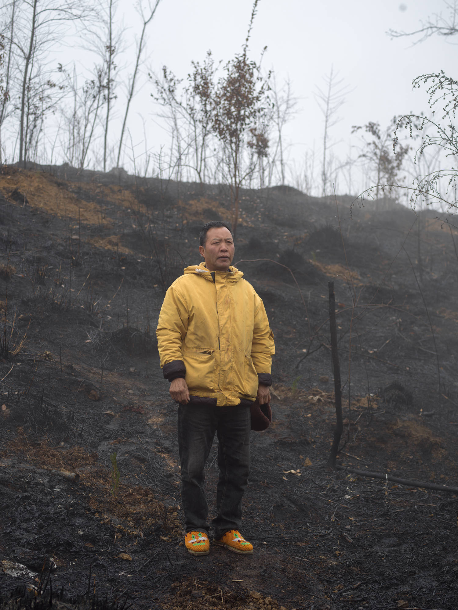 山火后千亩山林被毁 村民无法采松茸维生