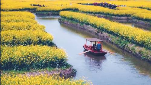 "垛田"十年,如何续写"农遗"新故事?