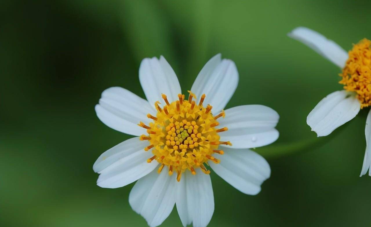 不爱你的人,就算了吧,强求也无用