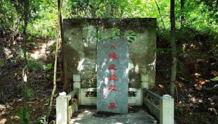 贩拯救红25军,却因一字失误,程子华全省找了6次_陈廷献_卢氏县_陕南