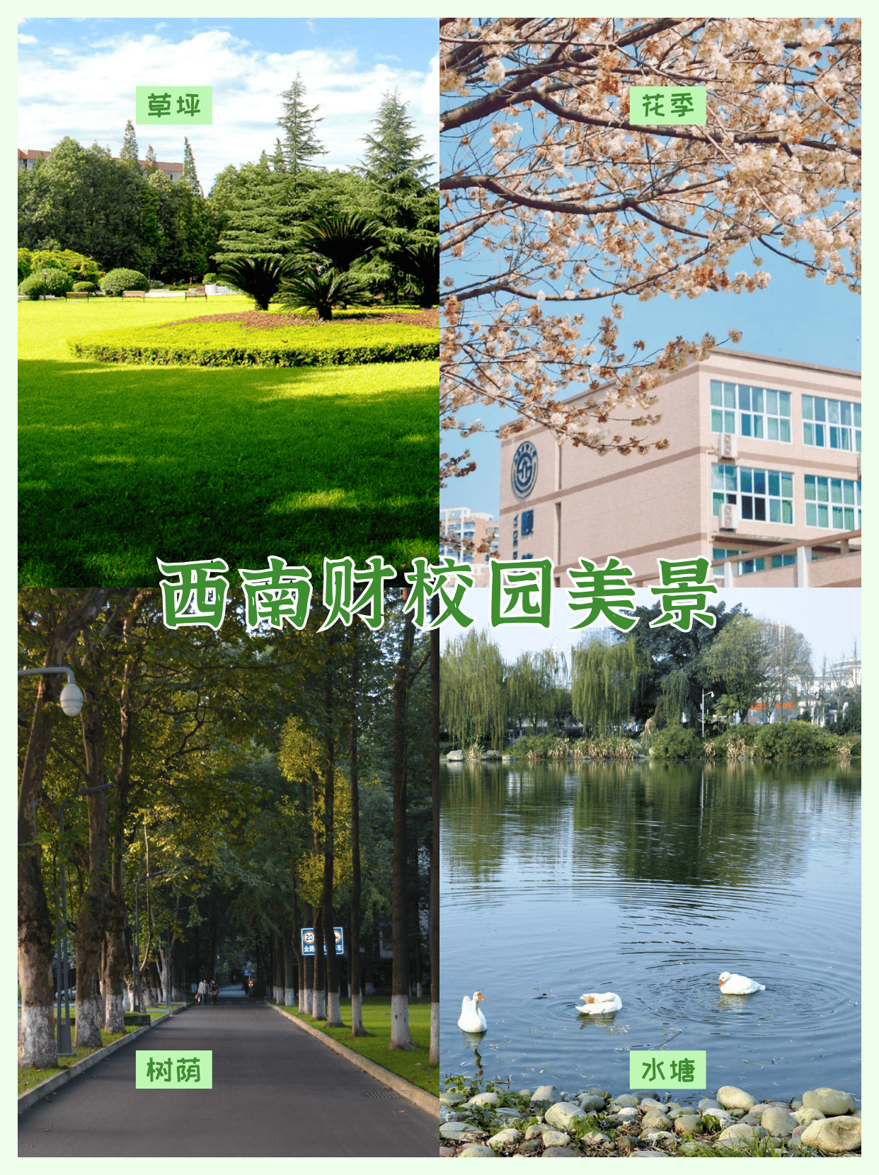 财经精英孵化器:西南财经大学2 2国际本科,开启你的留学教育之旅_教学