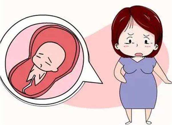 红木坊朱秀英医生:为什么怀孕前3个月容易流产？注意这五个原因！_胚胎_因子_母体