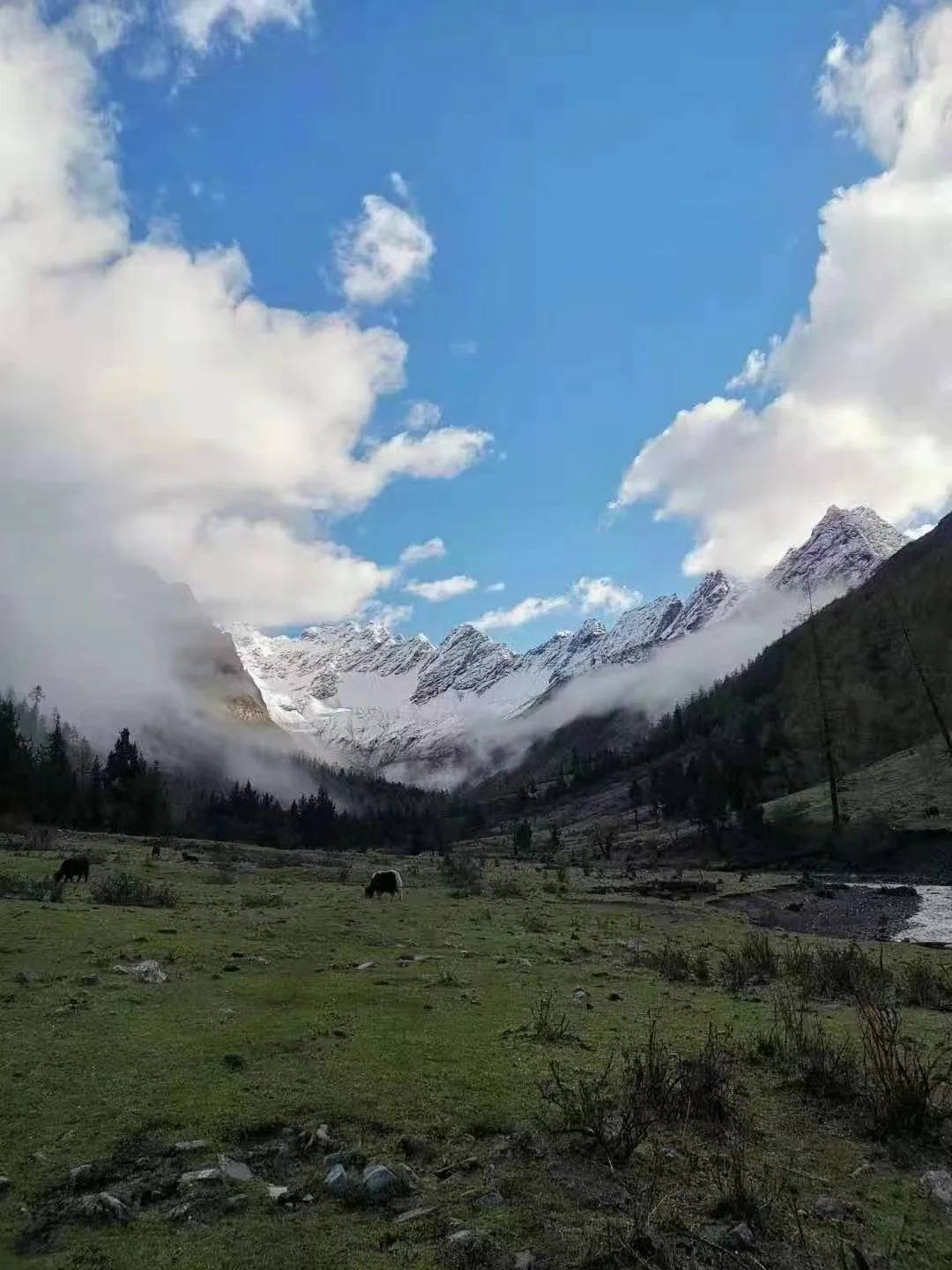 端午节两三天成都周边人少又可以免费露营徒步的小众景点路线
