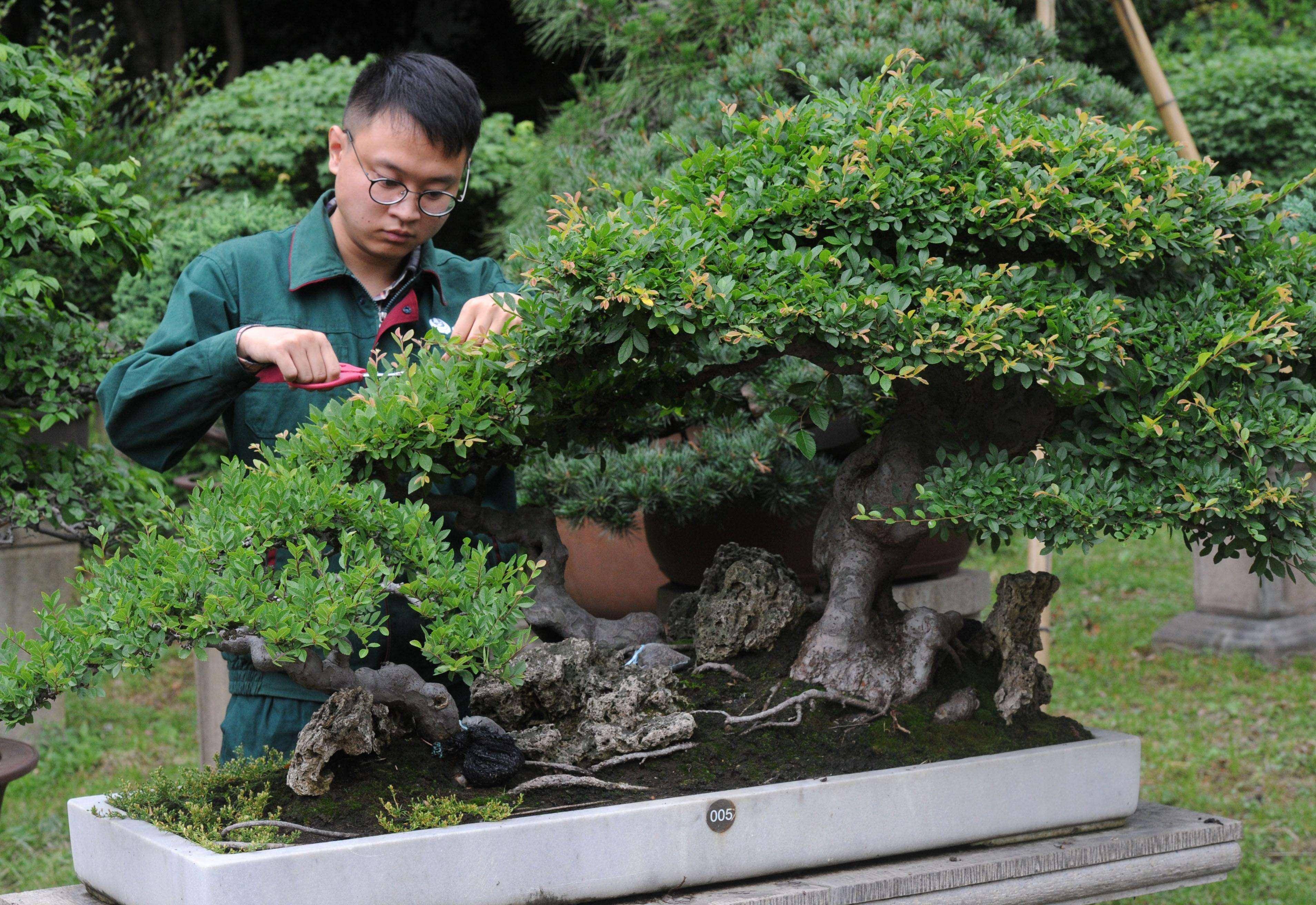 园艺师证书报名费用?证书好不好拿?拿证流程和时间?网站可查吗
