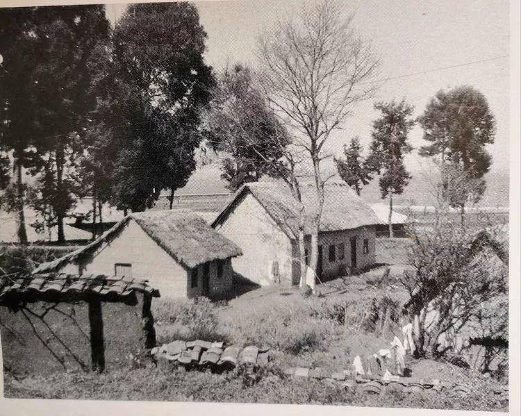 他一生从医,救人无数,61岁自杀,无葬礼祭奠,妻子为他保存骨灰