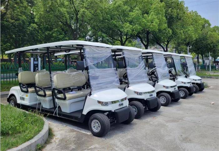 电动观光车价格及其影响因素