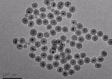 ctab gold nanoparticles ctab金纳米粒子