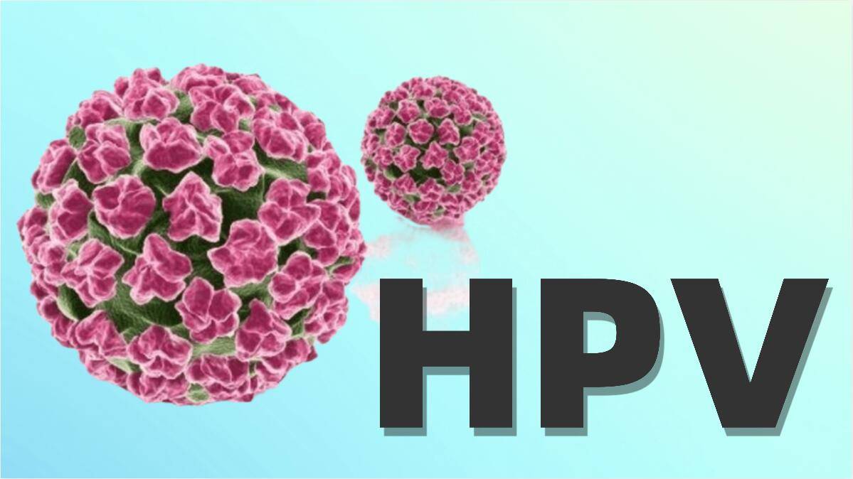 闫会宁主任的深度解读:女性hpv阳性相关问题解析_病毒_宫颈_筛查