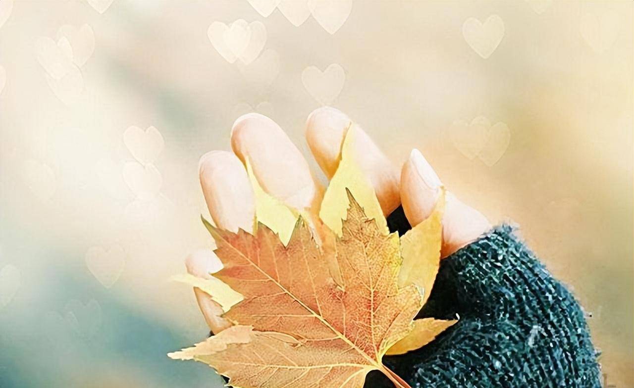 人品差的女人,爱用这样的微信头像,别深交