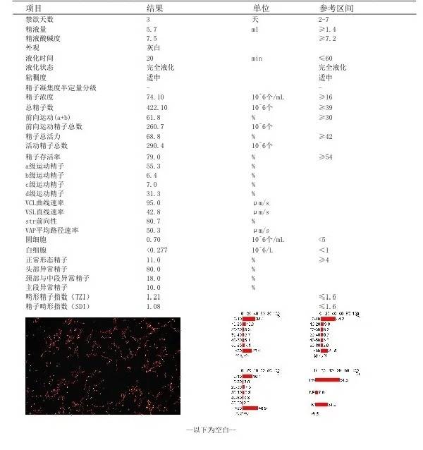 精子质量标准的参数表图片