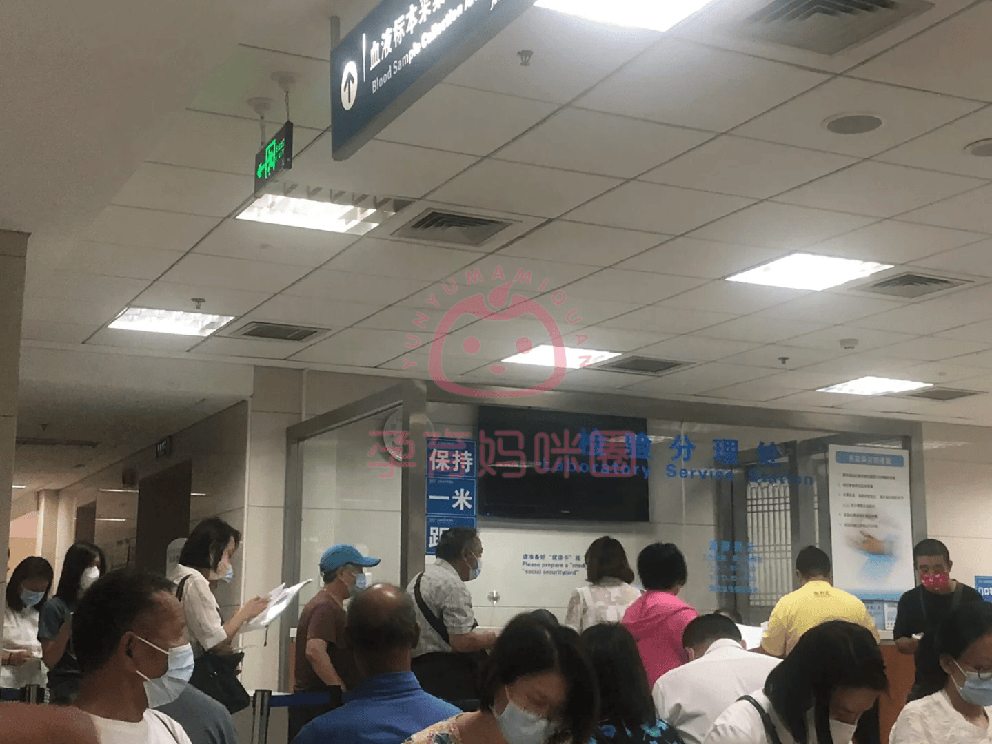 㰲ҽҽԺţƱӲƽ۸ļ򵥽