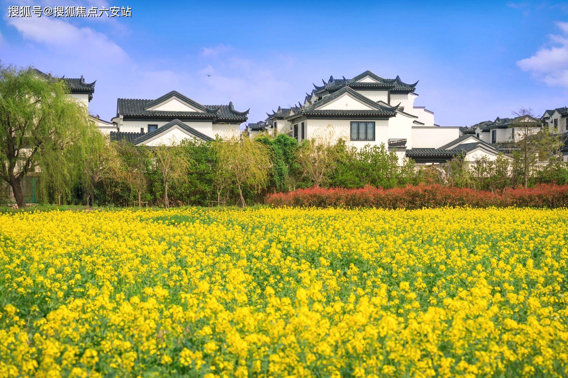 蓝城春风江南合院(嘉兴)春风江南_丨欢迎您丨春风江南楼盘详情