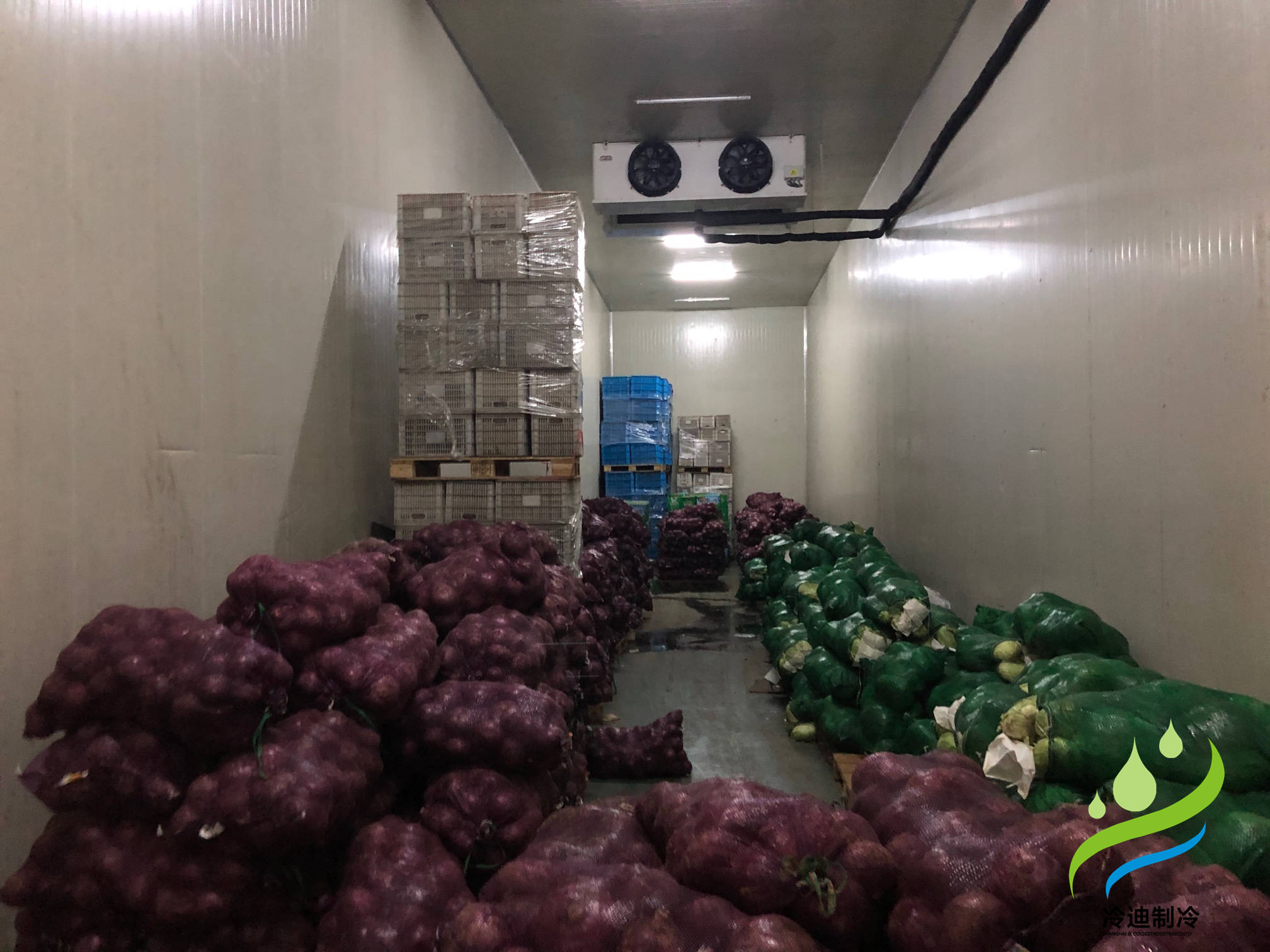 建造100吨蔬菜保鲜冷库造价多少钱?