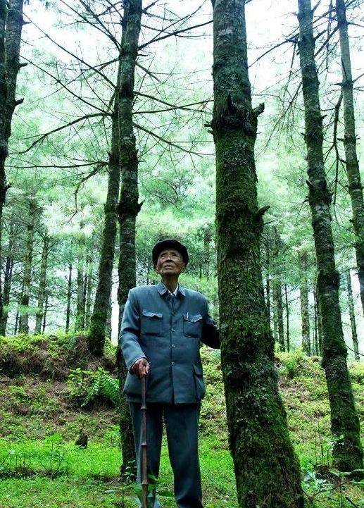 1988年60岁的杨善洲退休,拒绝组织安排:我要回家乡去种树