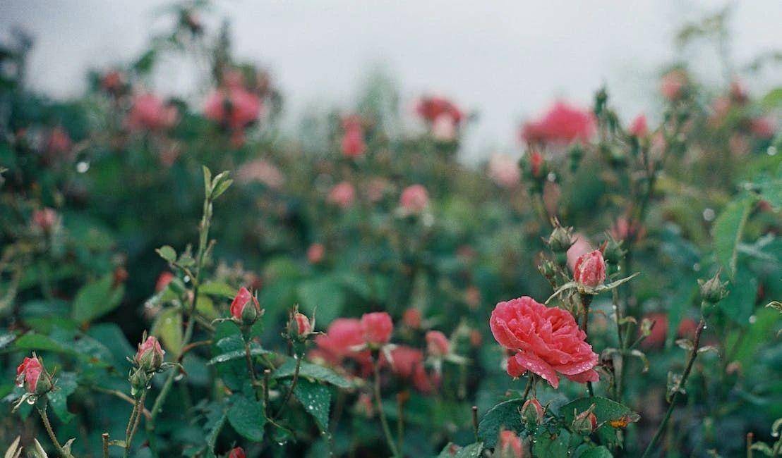 真正有福的人,一辈子有三不碰,越不碰命越好