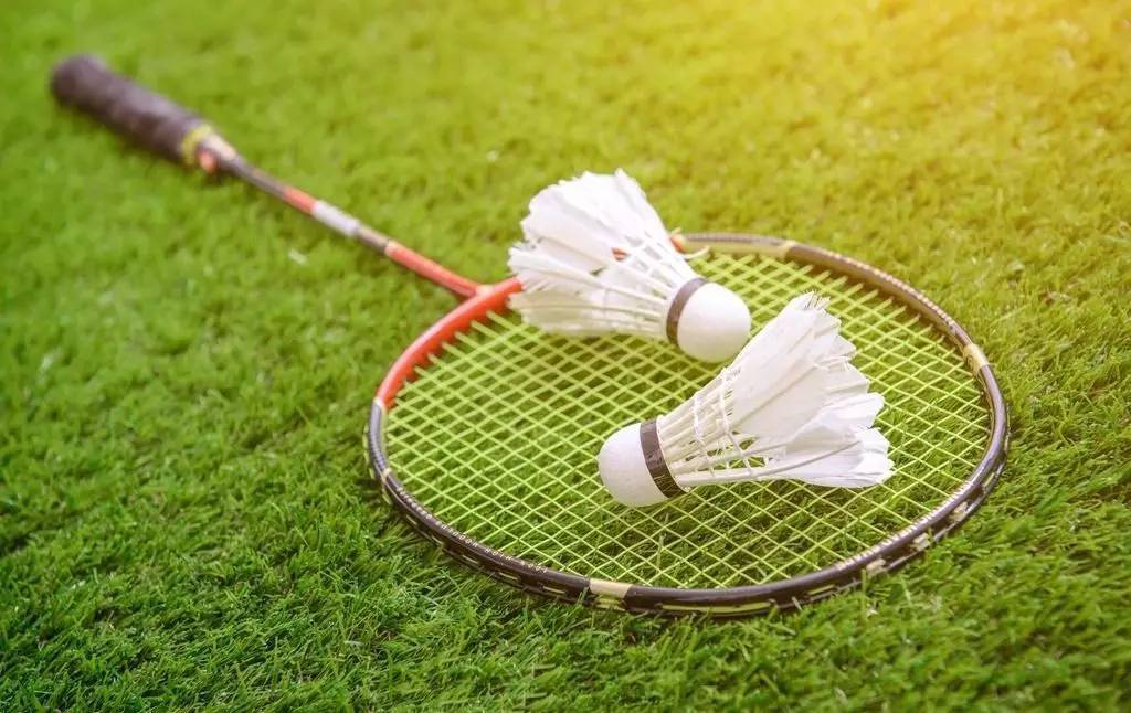 羽毛球:感受挥拍之间,尽显风采的魅力