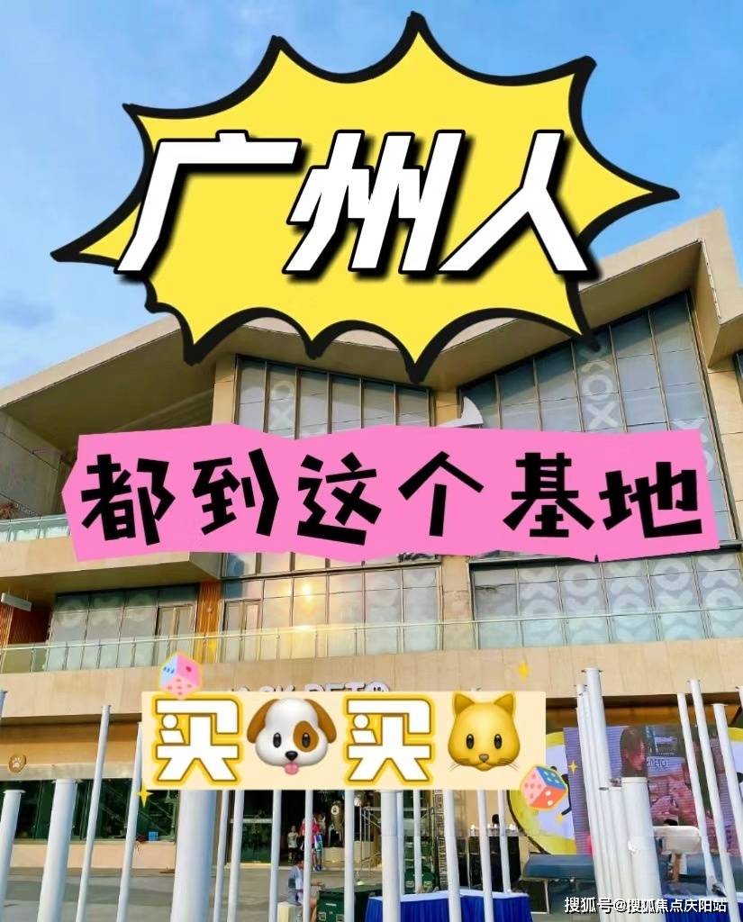 广州天河区买比熊犬什么价格【广州福安家宠物店】欢迎您