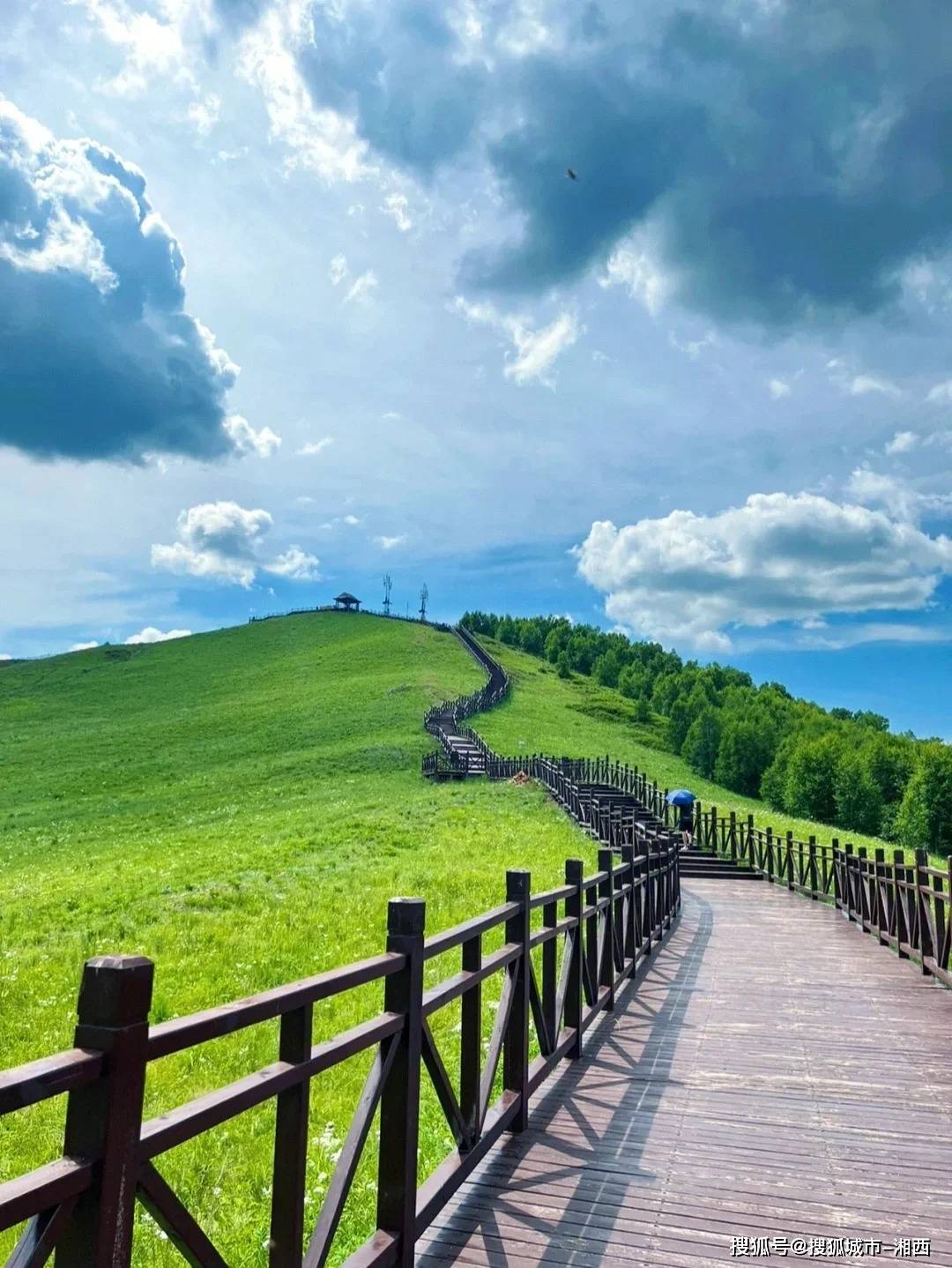 八月去内蒙古旅游3天两晚有哪些特色活动体验？-七八月内蒙古旅游