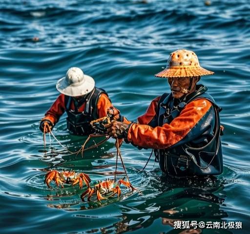 我的北冰洋捕蟹之旅