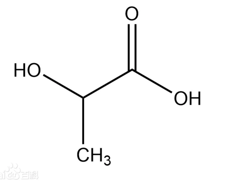 乳酸缩写图片