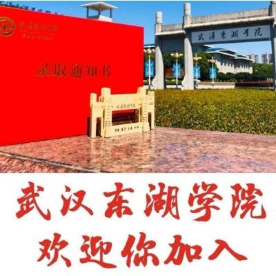 2024年武汉东湖学院全日制自考本科助学班招生公告(官方发布)