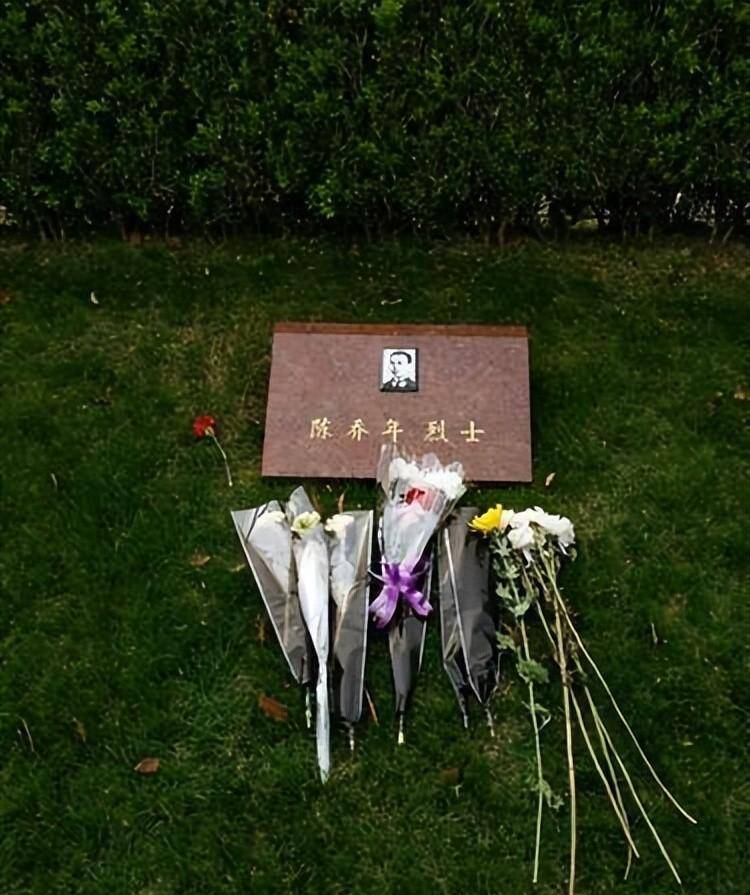 原创陈乔年牺牲66年后,遗腹女被找到,在墓碑前痛哭:爸,我来看您了