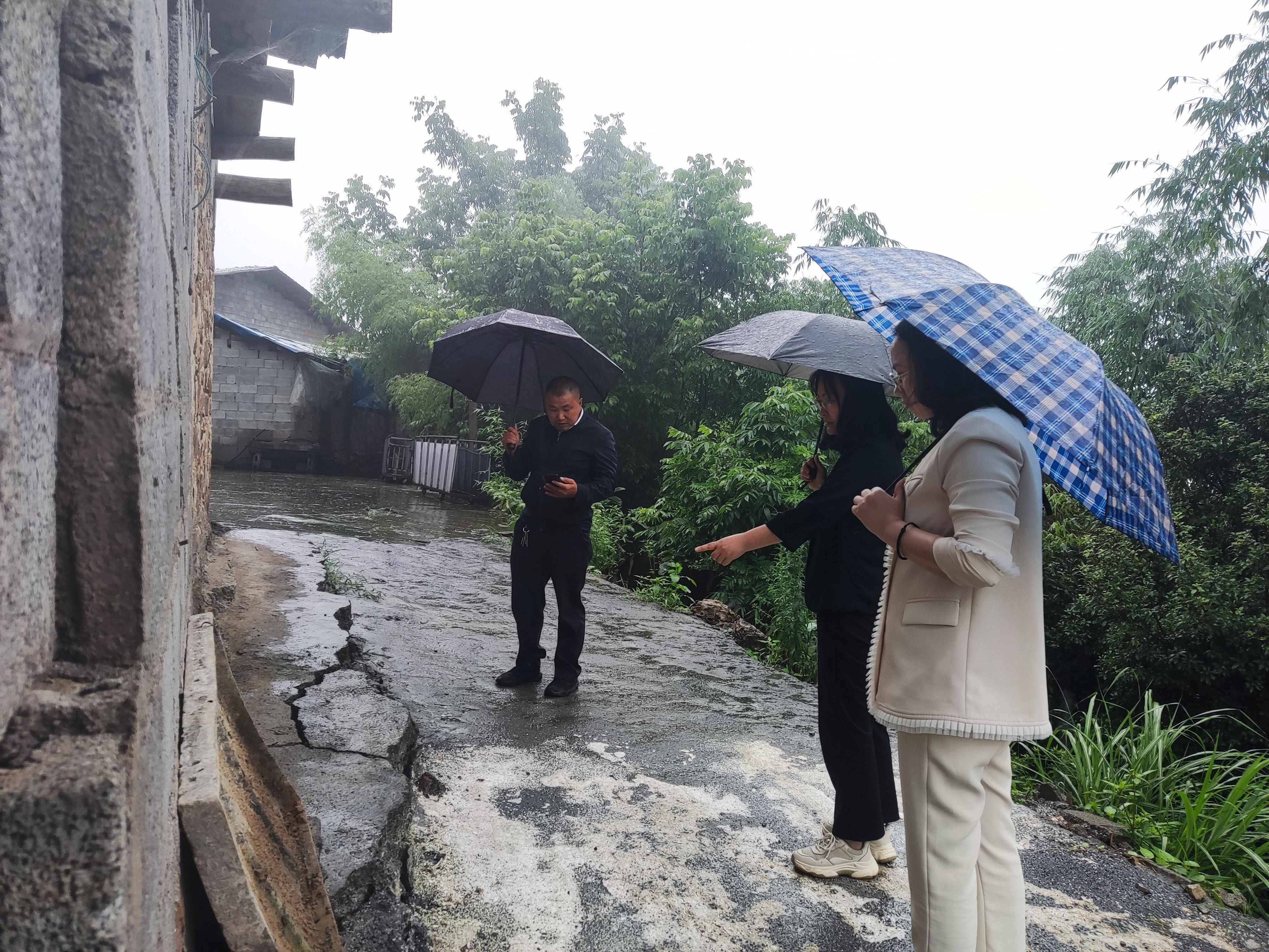 武隆区白云乡:数字赋能 闻"汛"而动