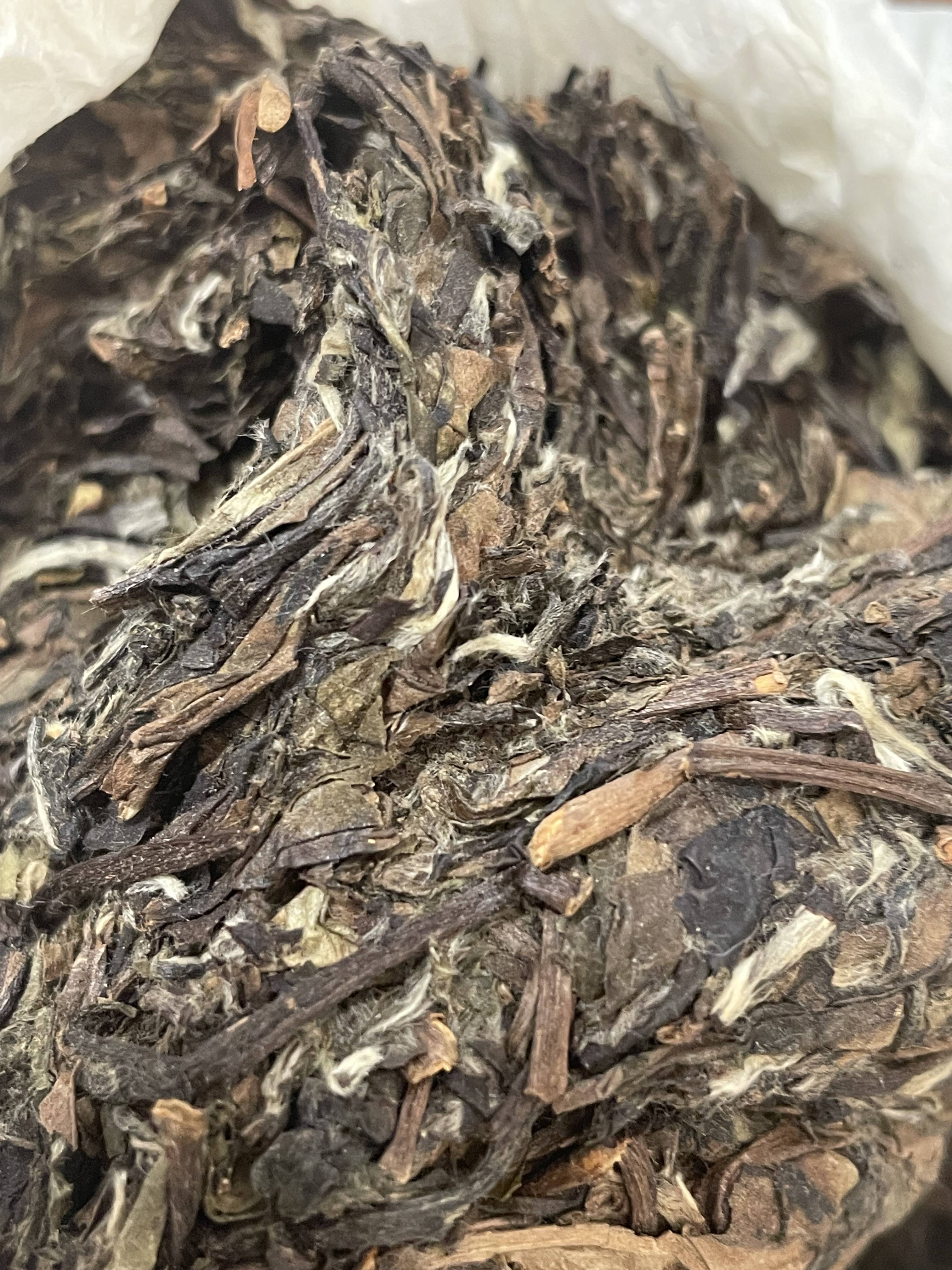 方守龙白茶-2021年太姥山茶团