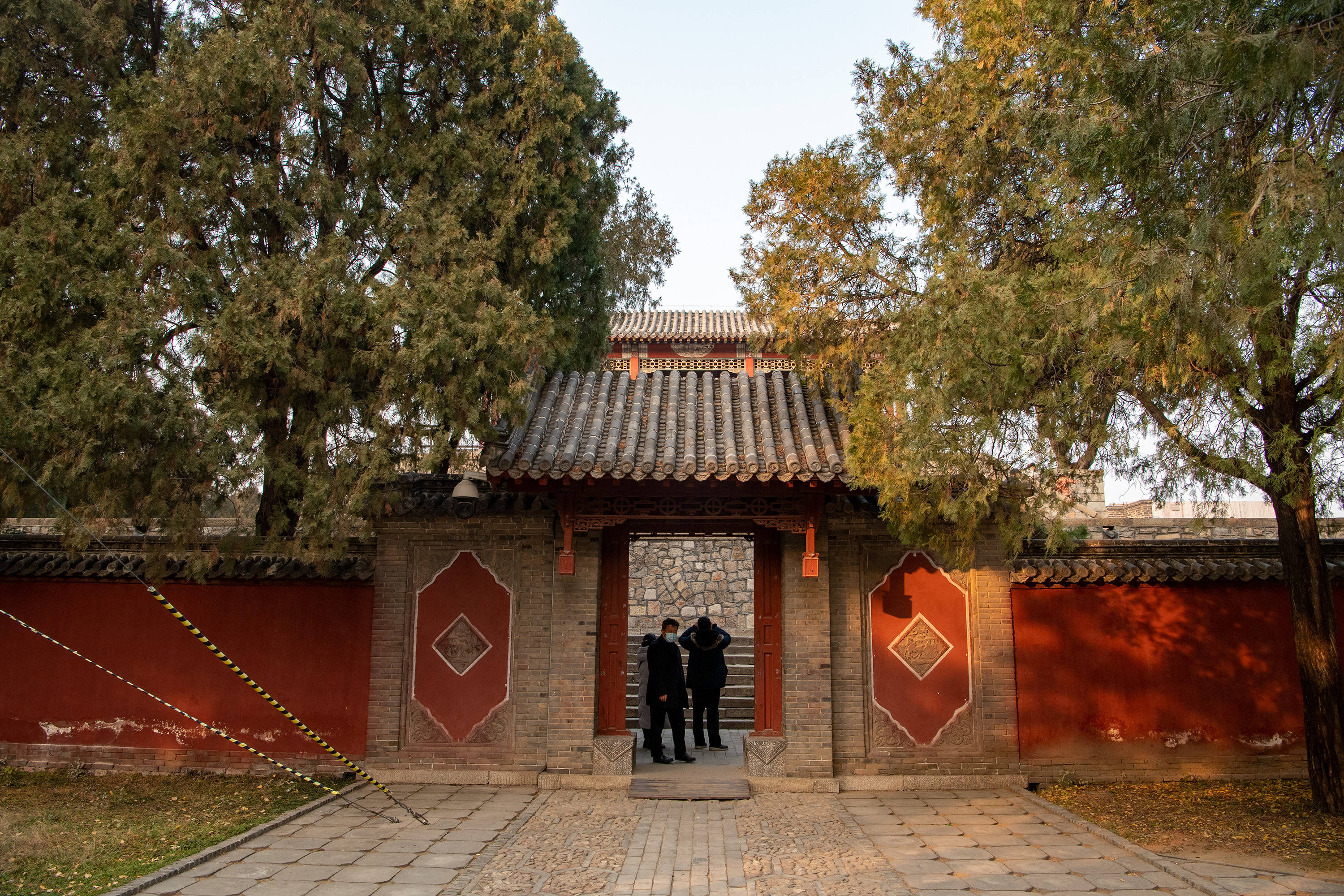 泰山最高贵的树,汉武帝亲手所种,乾隆为它题诗作图,就在岱庙