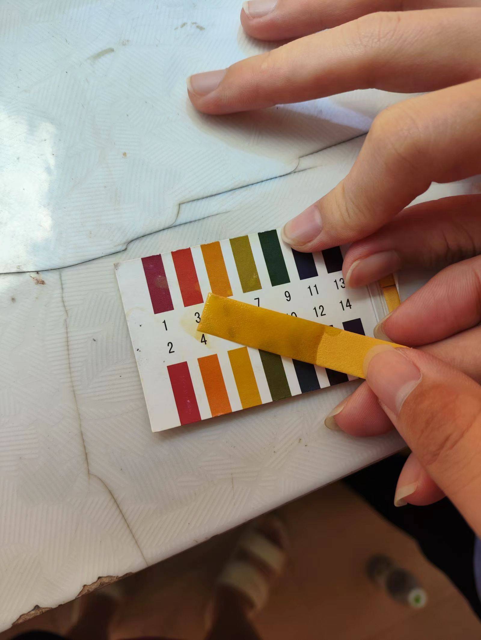 仔细观察土壤的质地,颜色和结构,并且测量了灌溉水的ph值