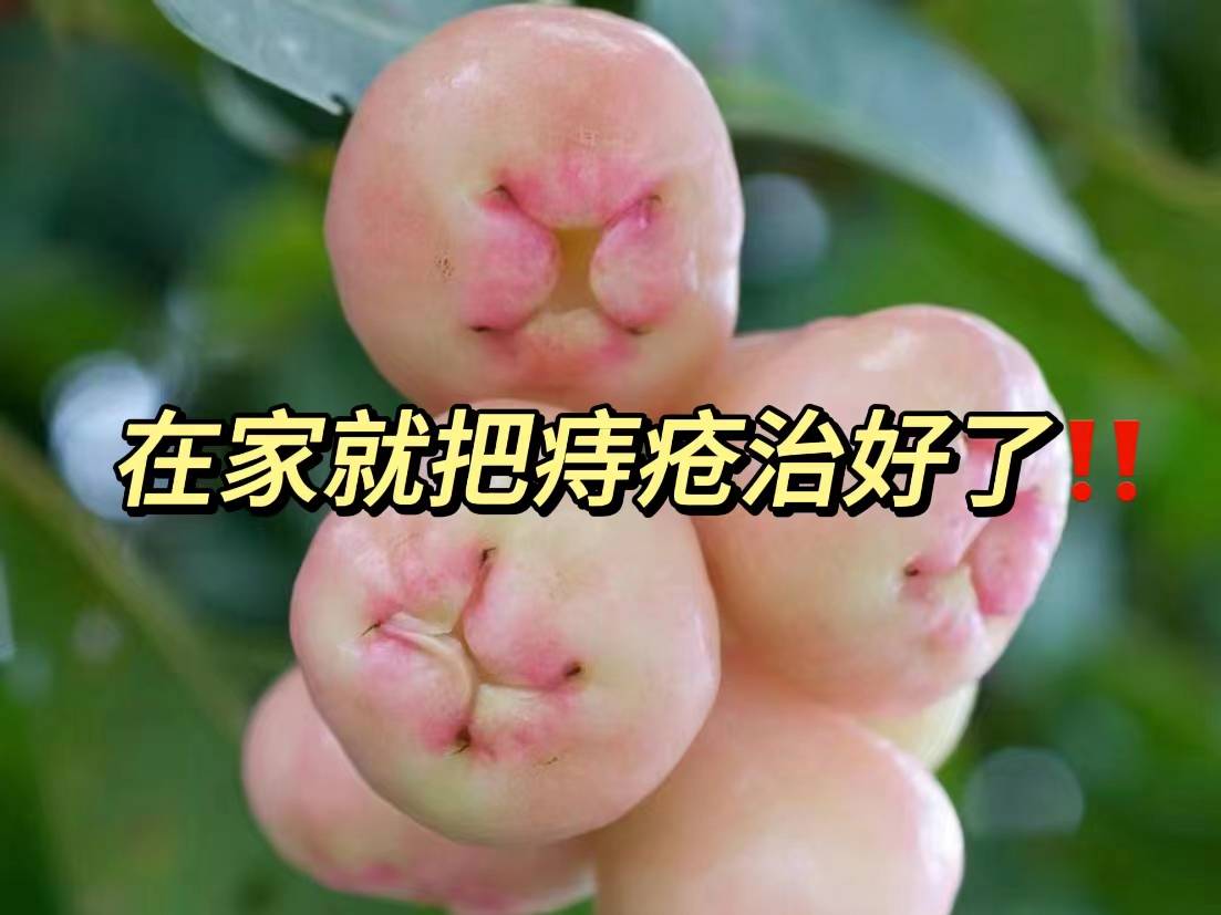 庤疮高发季!没想到肉球克星竟是它?别说你还不知道!