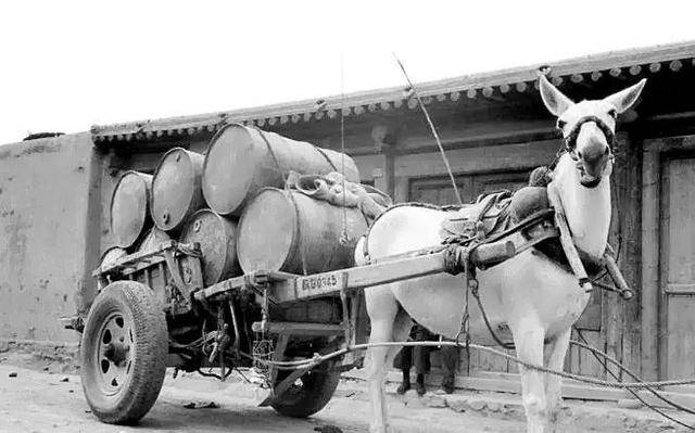 40年夏,八路团长带队进村,忽见一院有辆农村极为少见的汽马车