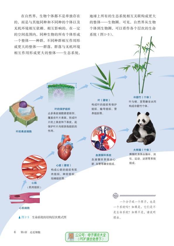 预习高一生物必修1分子与细胞高中必修一电子课本pdf高清版教科书教材