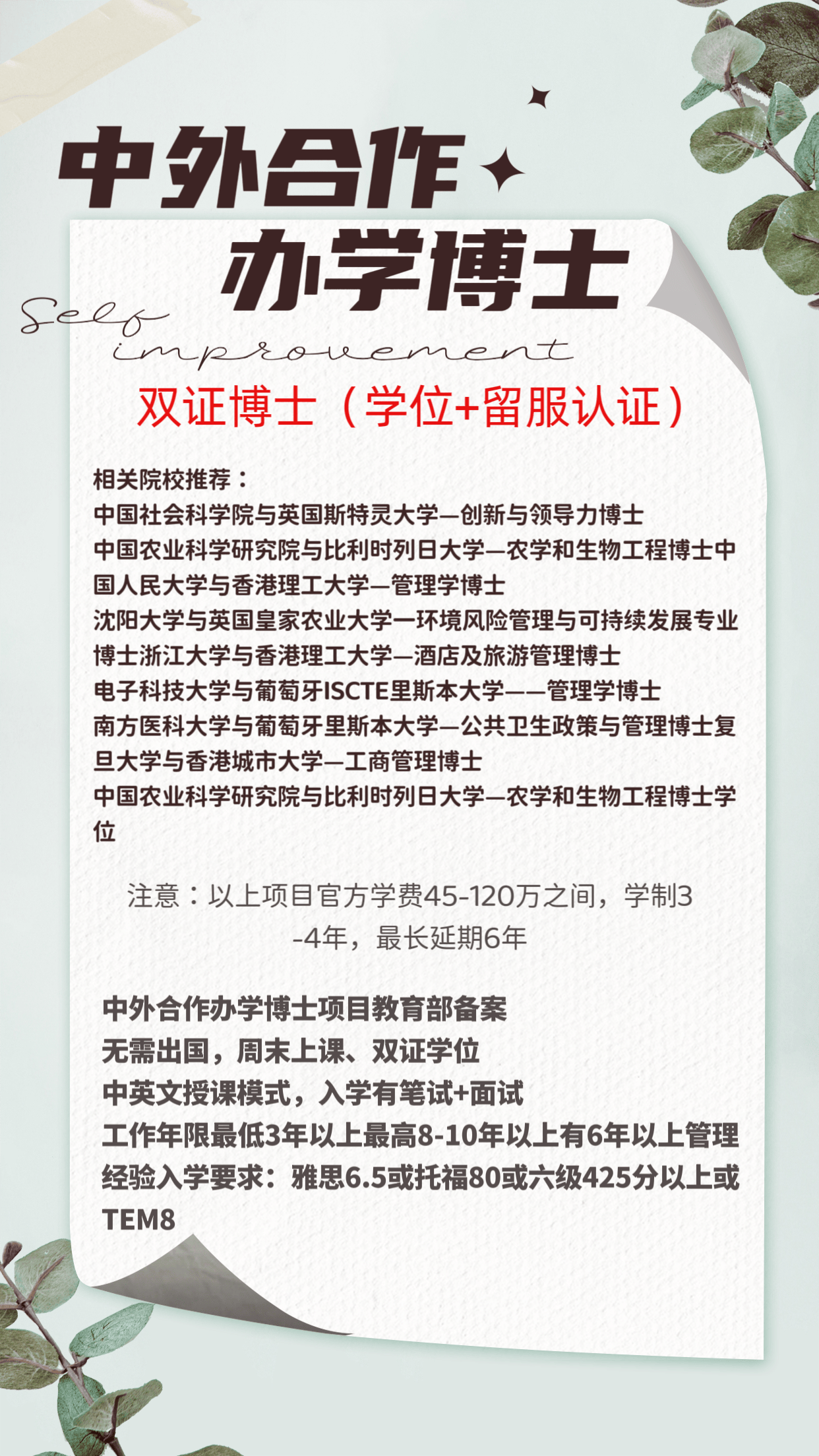 跨国界学术融合:中外合办博士项目优势分析