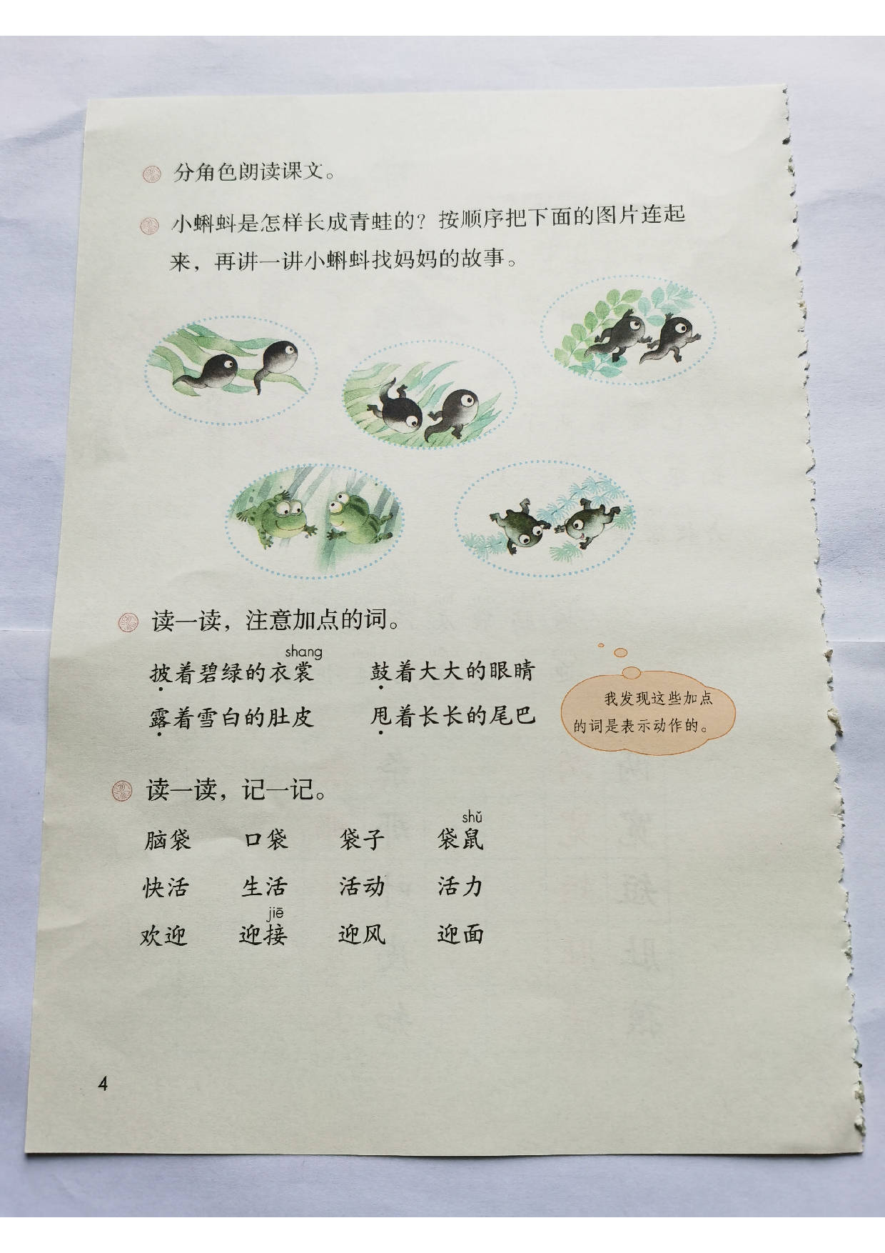 2024秋 | 部编版 | 小学二年级上册语文电子课本