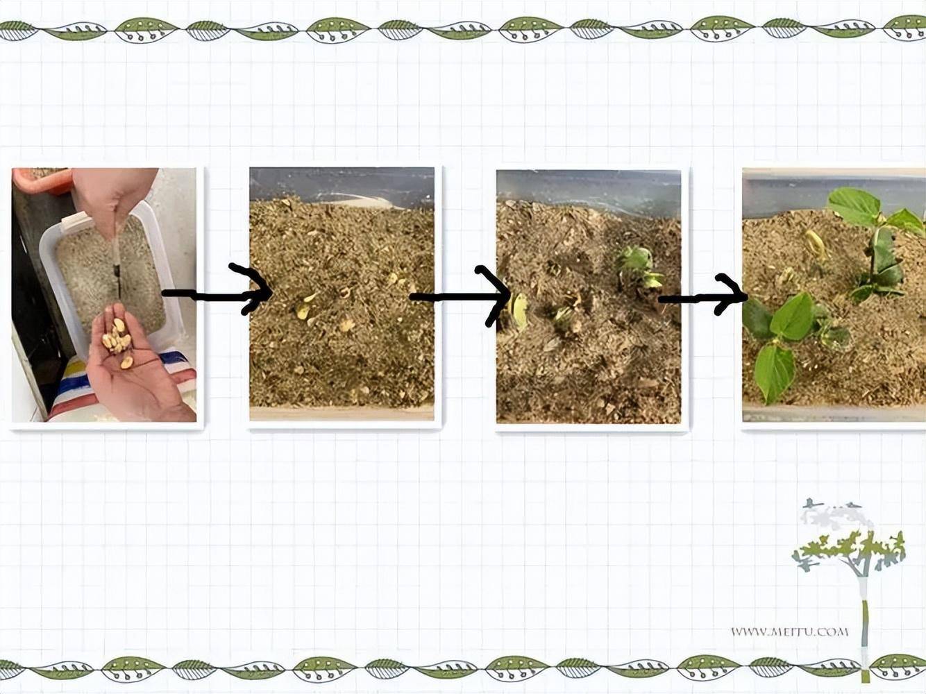 世界上最没"尊严"的沙漠:被中国人用来种土豆,还产出1万多斤_种植