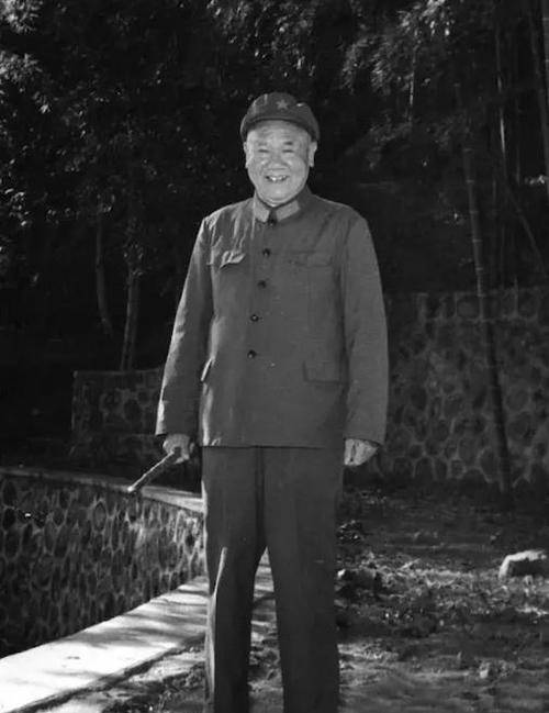 1984年,上将陈再道之子陈东平,在河南被执行枪决,他做了什么?