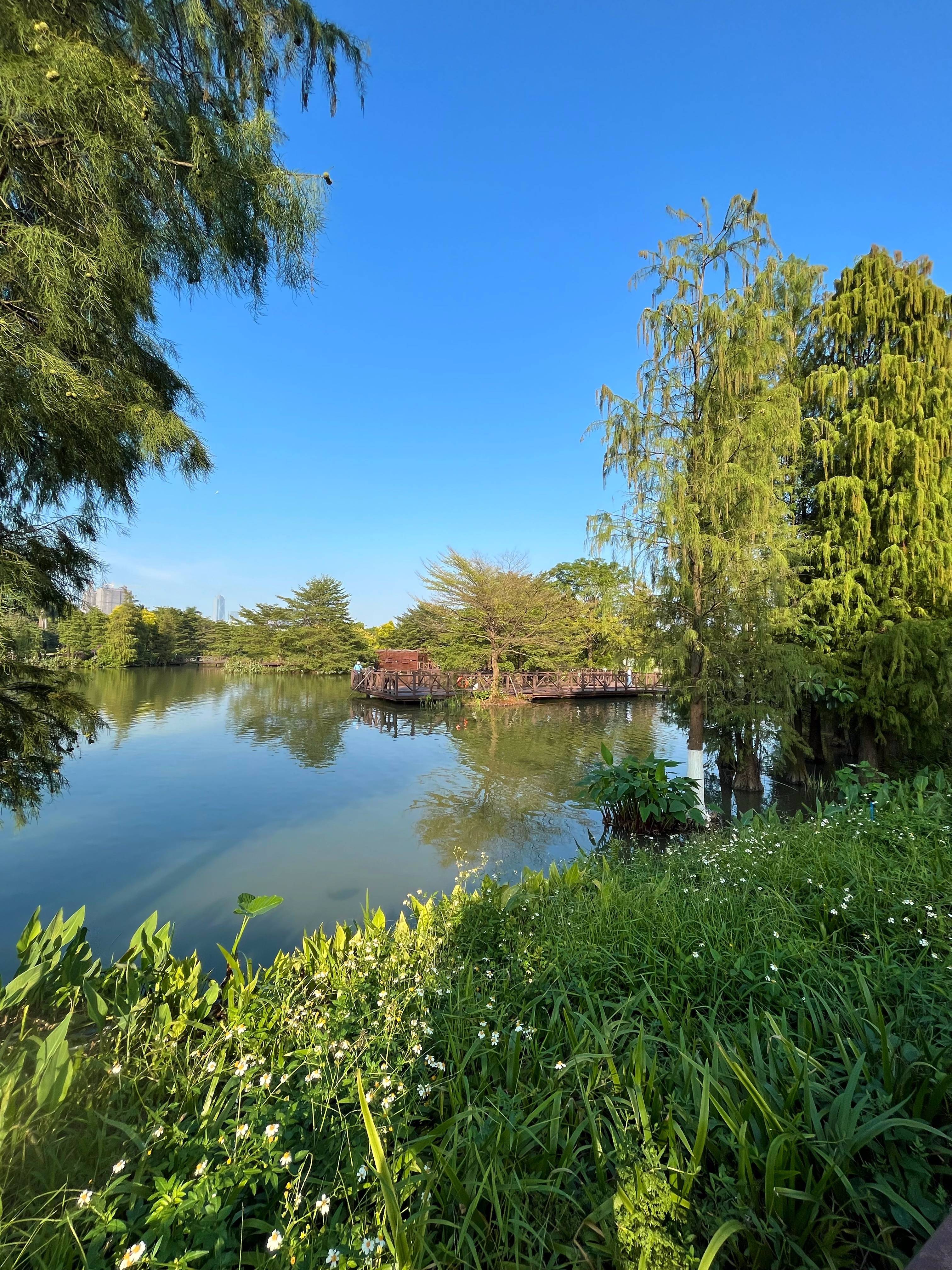 广州海珠湖风景图片