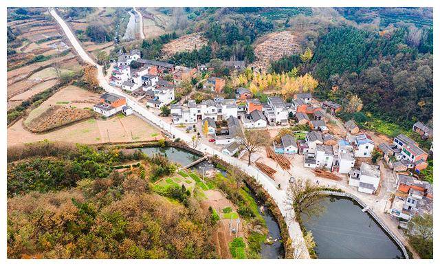 河南省光山县白雀园镇赛一村是第二批国家森林乡村,这里山上有茂密的