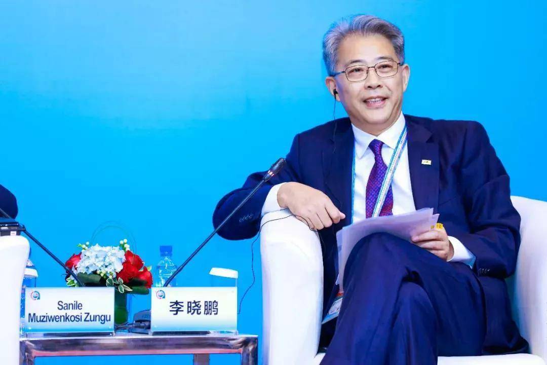 清明节"打虎"!李晓鹏涉嫌严重违法被查,他曾是金融界"大佬"