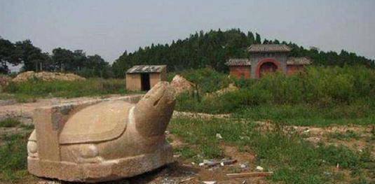 浙江老农翻盖鸡窝,专家得知后激动地说:我们等这一天15年了_陶模_坟墓