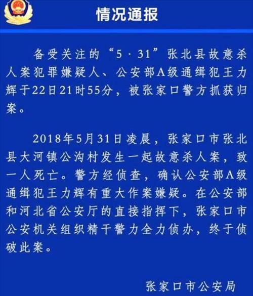 a级通缉犯王力辉落网记:被村民当傻子,做牛倌一年半未露真名