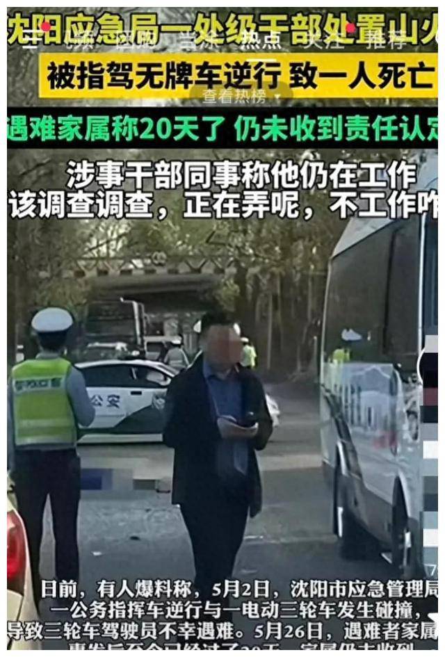 沈阳伊某某照片图片