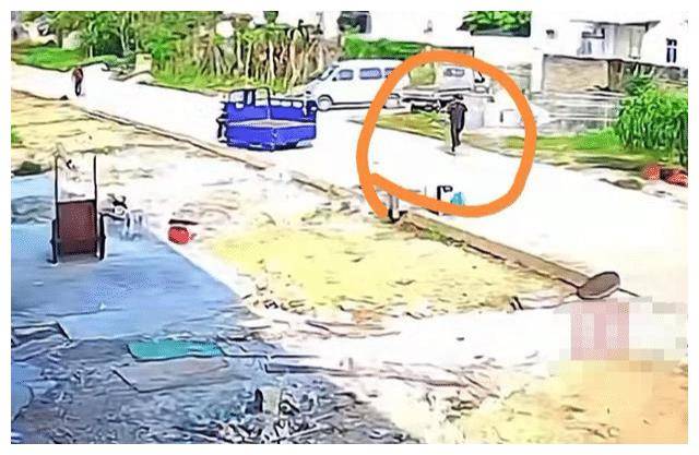 广东:偷狗贼几十秒把爱犬偷走,主人奋追几里,"才给它洗过澡"