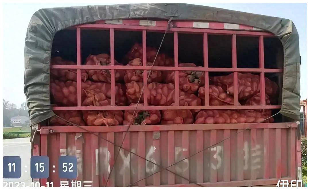 上个高速收900元通行费,红薯