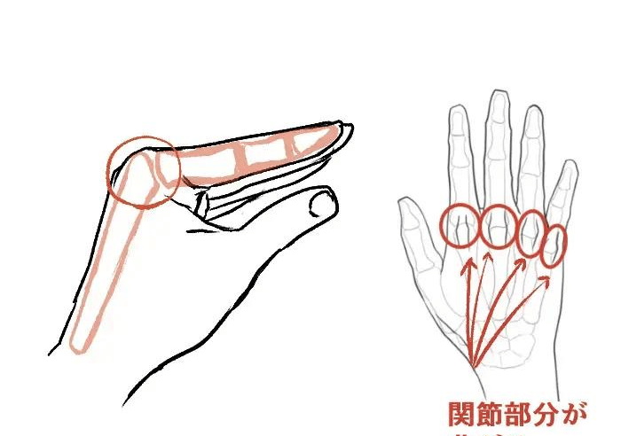 水彩之翼教育 教你人物手部握拳姿势的画法教程