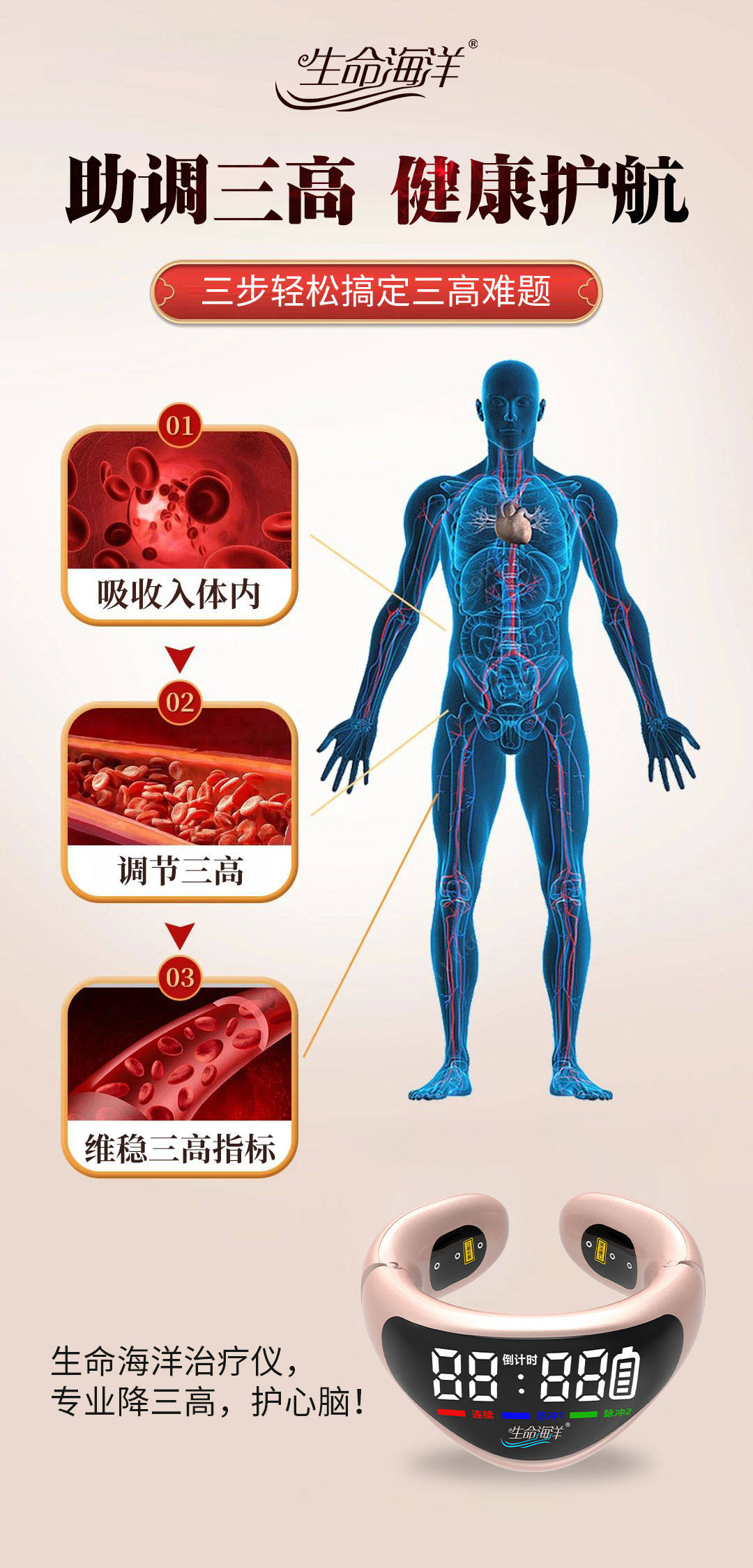 左右颈动脉退热贴图图片