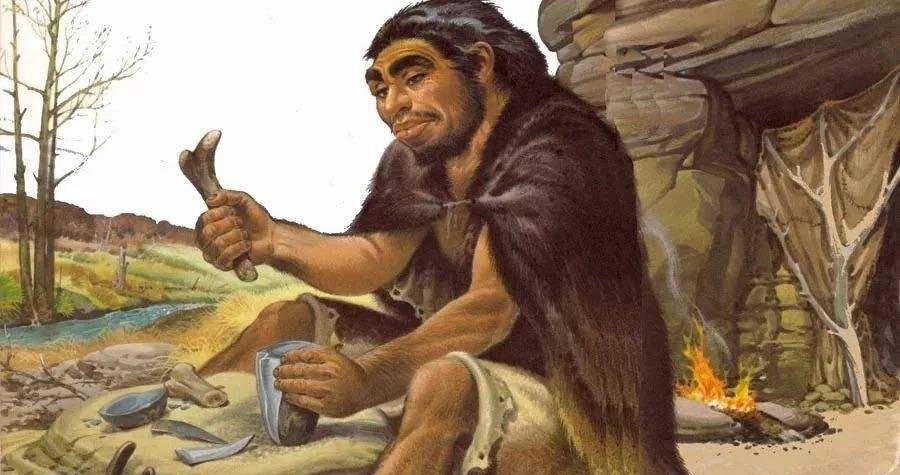 在见识了直立人的便利之后,保持着原本形态的猿人再选择直立行走也是