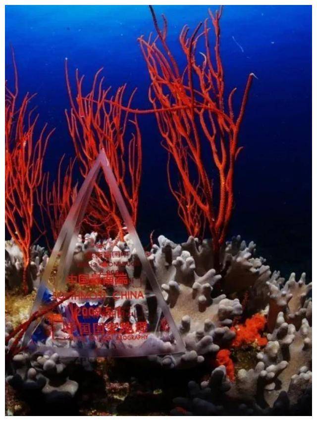 曾母暗沙,国家战略触角前出的助力跳板,攻防兼备